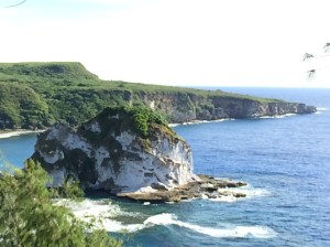 Saipan Bird Island