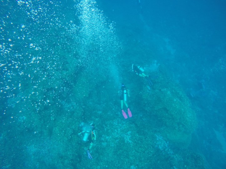 DCIM100GOPROGOPR0023.