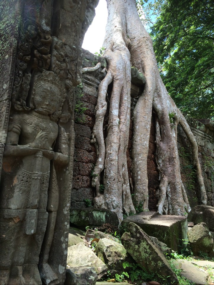 Ta Prohm temple